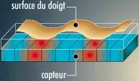 Capteur silicium d'empreintes digitales Capteur silicium d'empreintes digitales