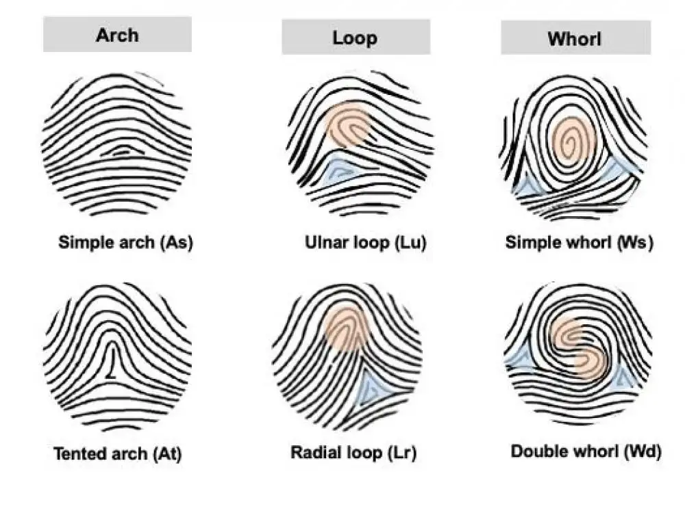 spirale boucle arche